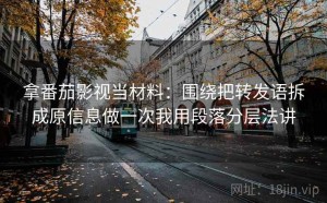拿番茄影视当材料：围绕把转发语拆成原信息做一次我用段落分层法讲