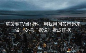 拿菠萝TV当材料：用我用问答串起来做一次把“据说”拆成证据